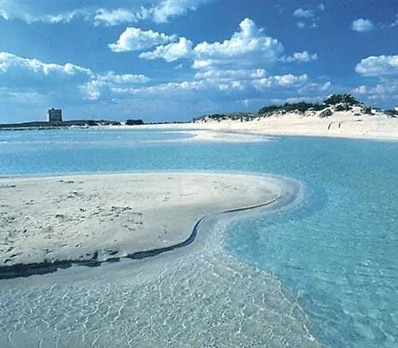 Torre Pali * سالفي